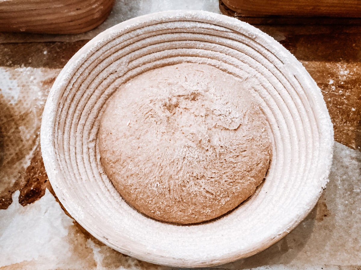 Honig Salzbrot Gährung